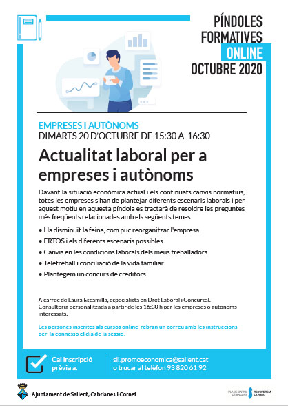 Píndola formativa online: Actualitat laboral per a empreses i autònoms