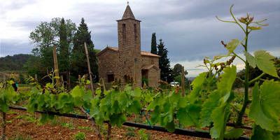 Visita al Celler Sanmartí