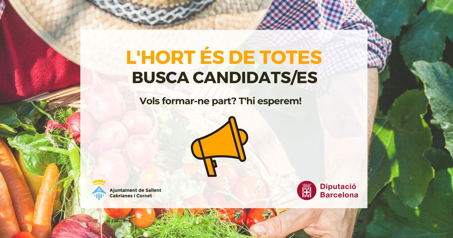 El projecte 