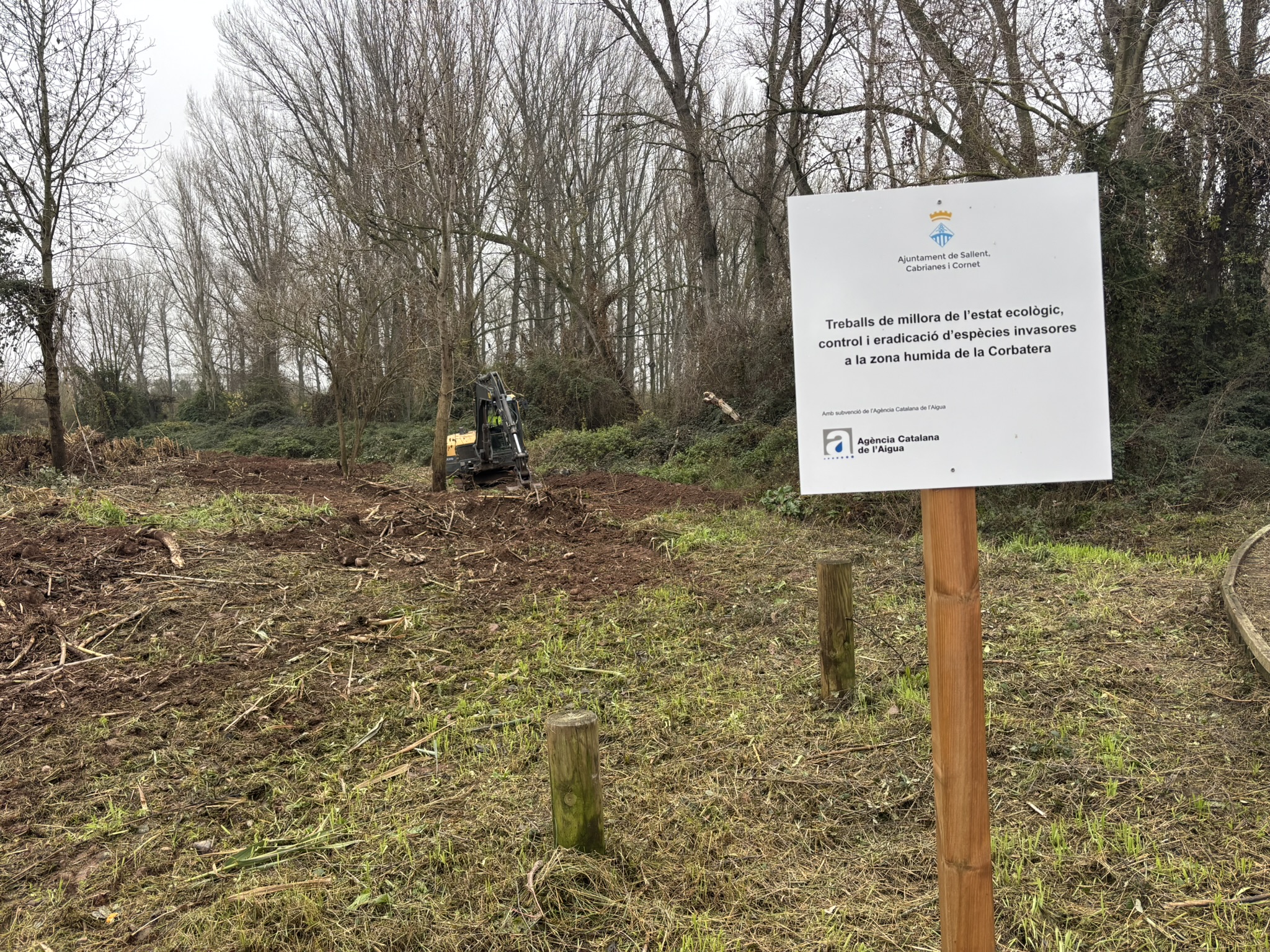 Seguim avan&ccedil;ant en els treballs de millora i recuperaci&oacute; de la zona humida de la Corbatera. 