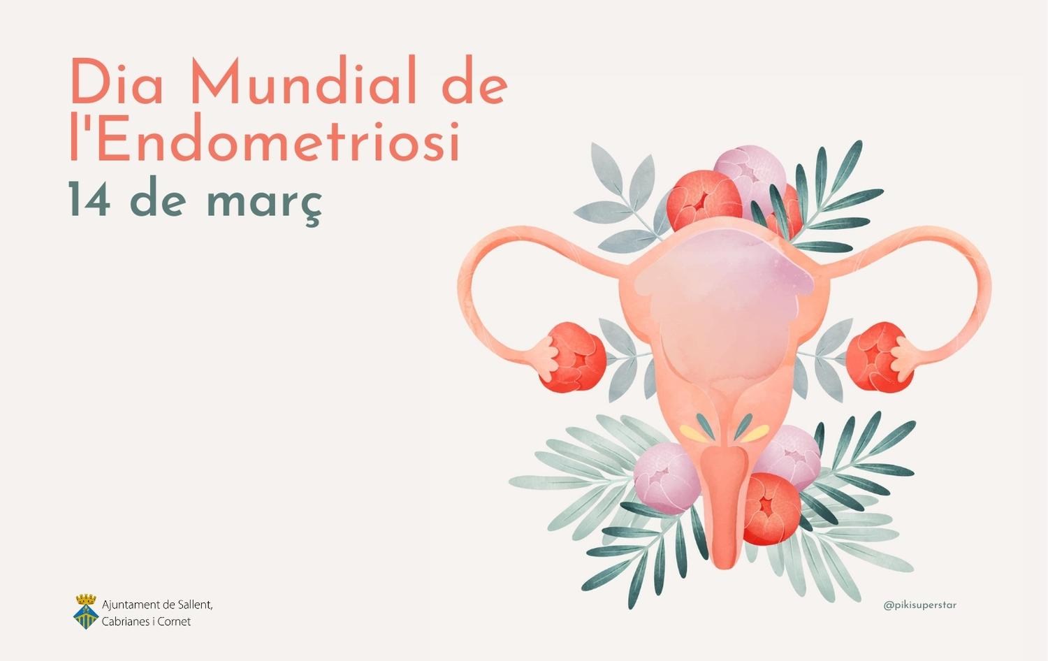 14 de març, Dia Mundial de l'Endometriosi