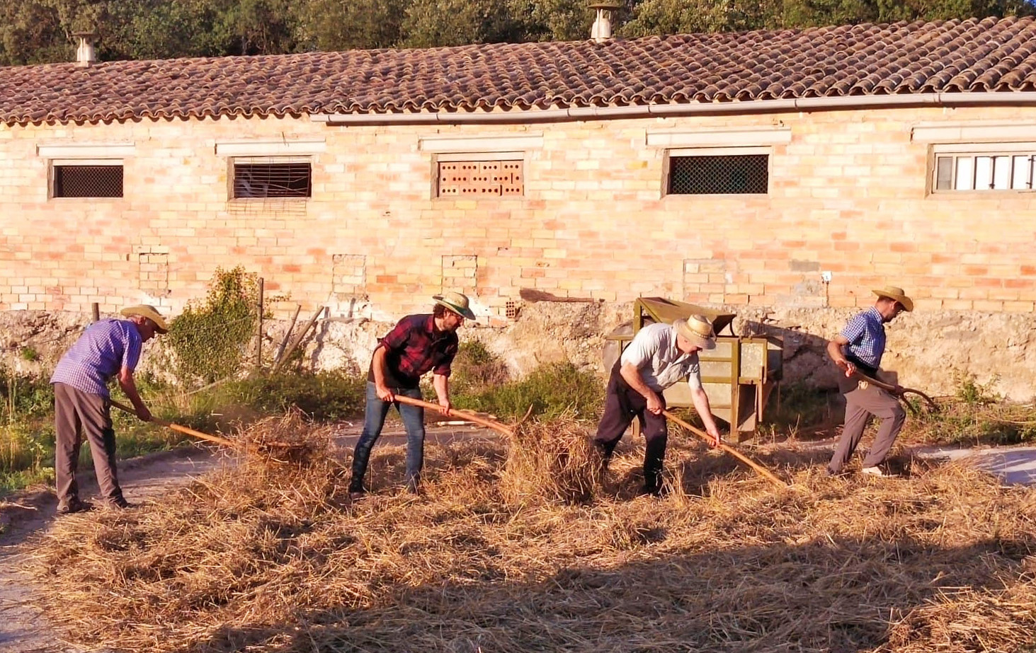 Cornet torna a celebrar la Festa del Segar i el Batre