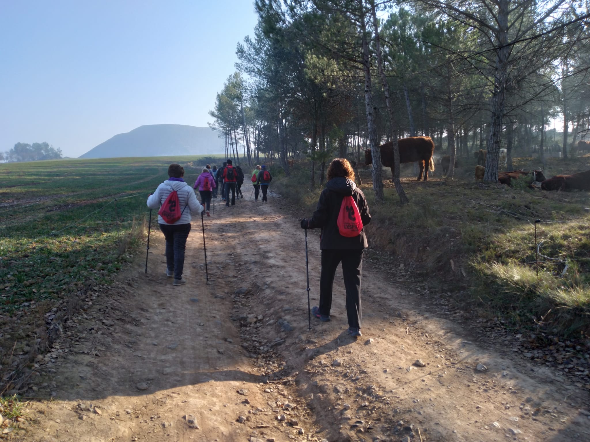 El Cicle de Passejades per a la gent gran ja ha realitzat 18 sortides