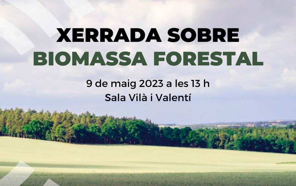 Xerrada sobre biomassa forestal 