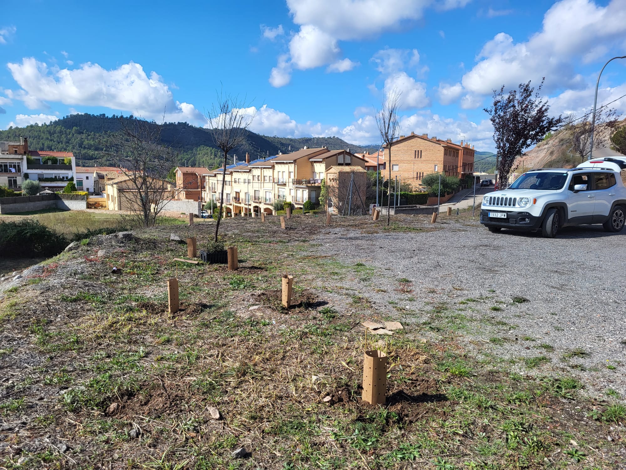 Plantada d'arbres a Sallent (octubre 2023)