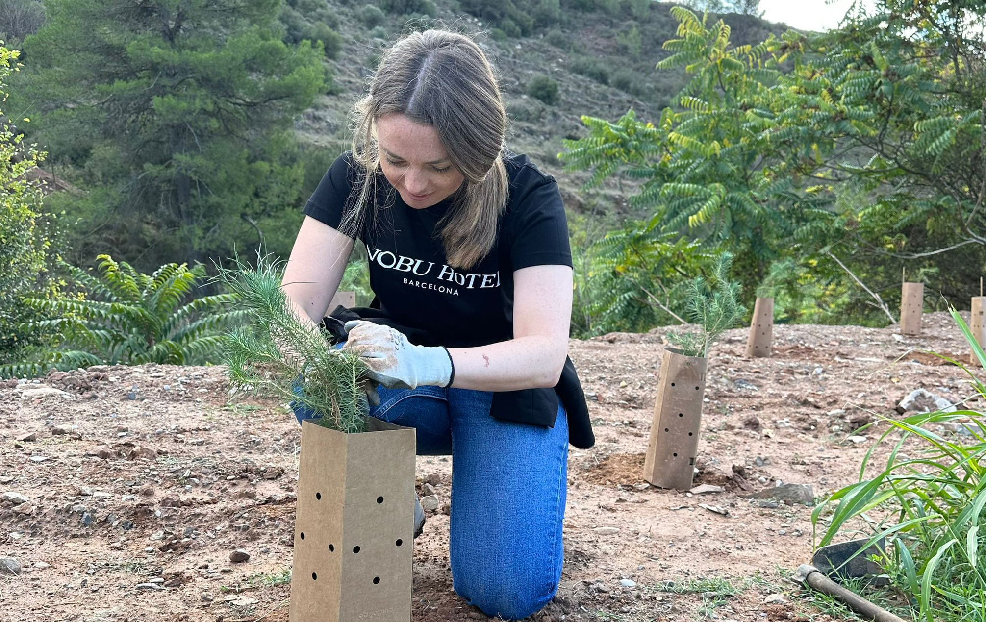 El consistori col·labora en una plantada d'arbres per repoblar zones malmeses