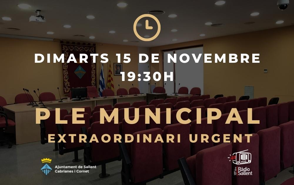 Convocatòria del Ple Municipal Extraordinari Urgent del 15 de novembre de 2022