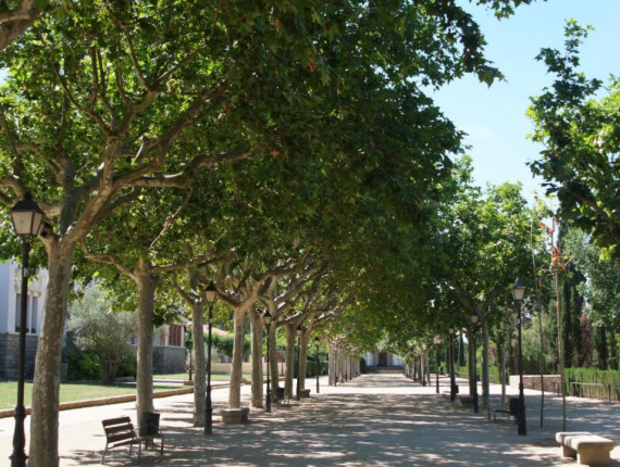 Parc Pere Sallés i antiga biblioteca popular